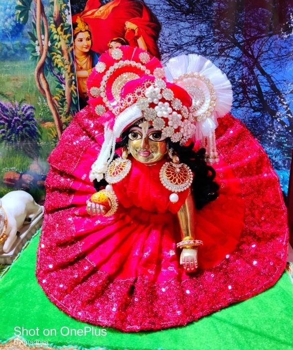 Designer Red dress with padgi