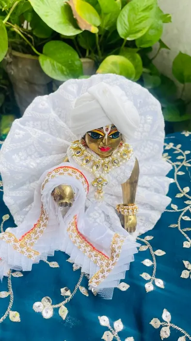 Royal look pure white dress