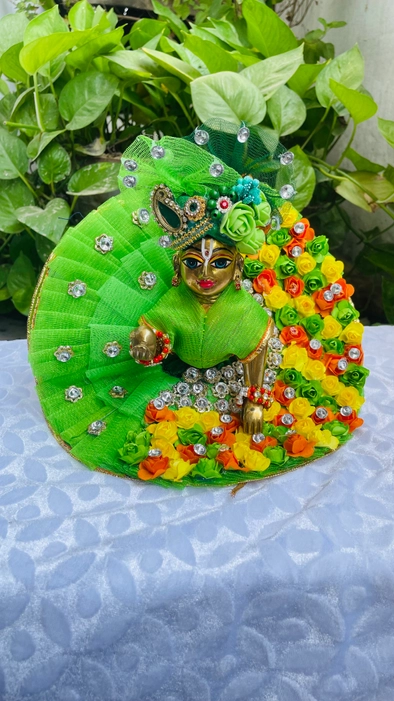 Light green with mixed  Dress choli patka & Padgi