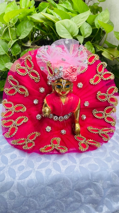 Pink Dress choli patka & Padgi