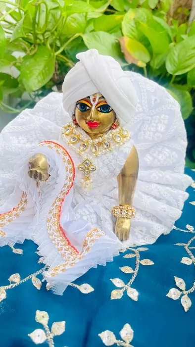 Royal look pure white dress