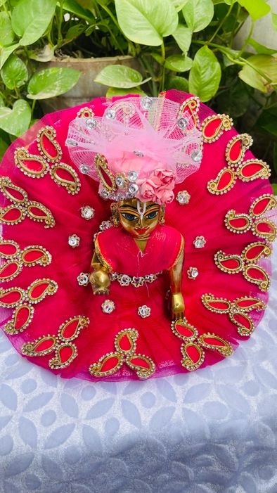 Pink Dress choli patka & Padgi