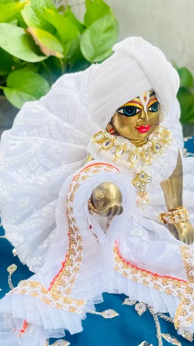 Royal look pure white dress