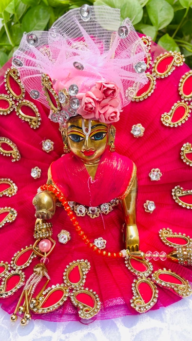 Pink Dress choli patka & Padgi